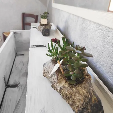 Apartamento Freedom House *